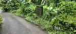5cent house plot near pukkattupady karukulam busroot