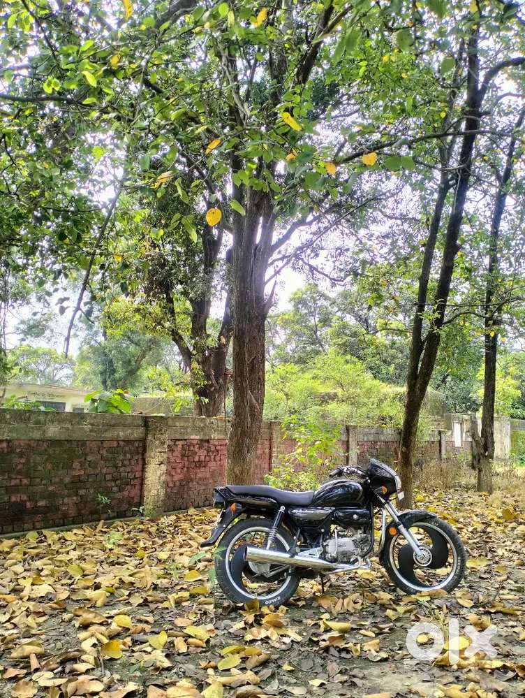 Wheel speldor bike S wheel 20 days old