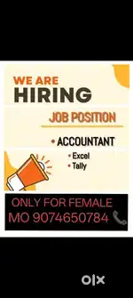 Accountant