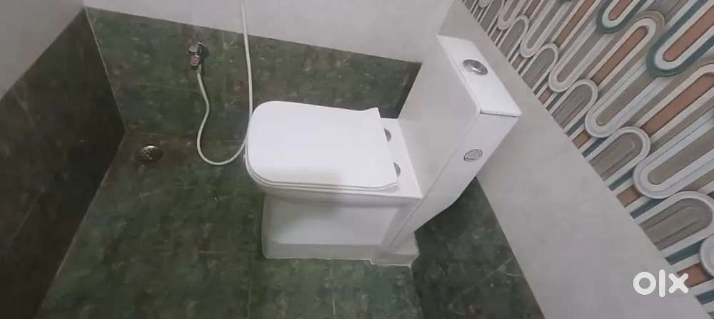 Plumber  water line and sanitary