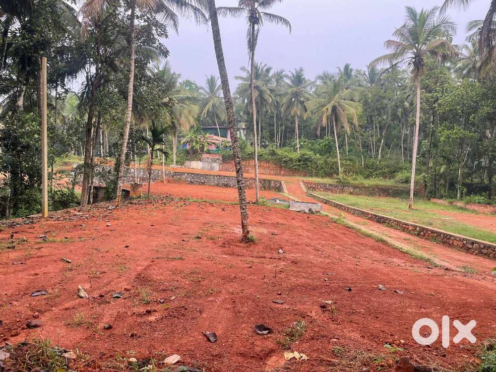 Premium plot for sale