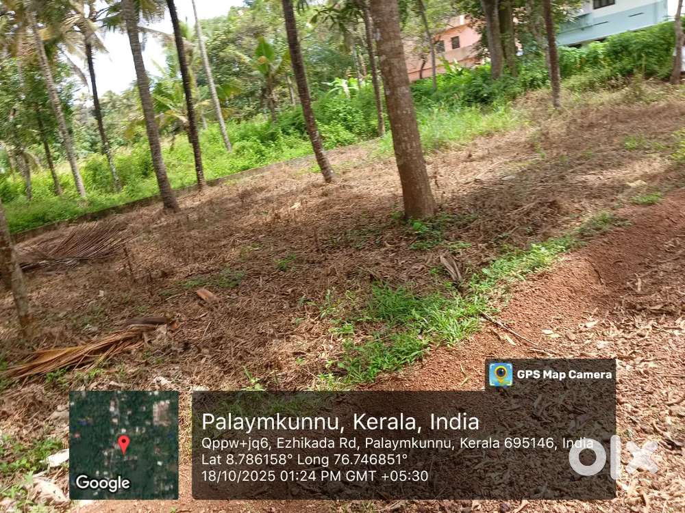 വസ്തു വില്പനക്ക് ( വർക്കല പാളയംകുന്ന് കാവിൽ ഓഡിറ്റോറിയത്തിന് സമീപം )