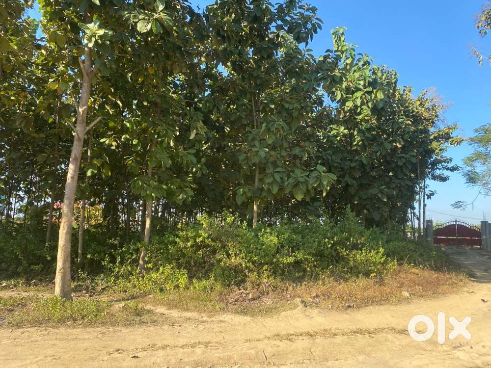 Land for sale behind toluvi baptist church