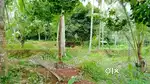 32 Cent property for Urgent sale