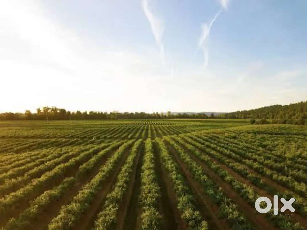 Agriculture land is available to sell on Sunadei near konisi