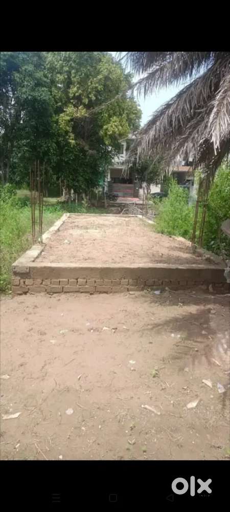 10/31 size shop  price 23lac