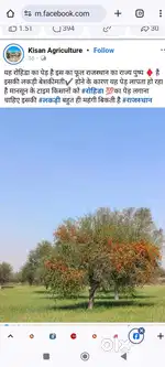 रजिस्ट्री प्लॉट सवा दो सो गज प्लॉट नजदीक सेक्टर 1_4