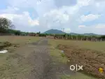 # CHENGALPATU NEAR  DTCP APPROVED PLOTS ARE SALES