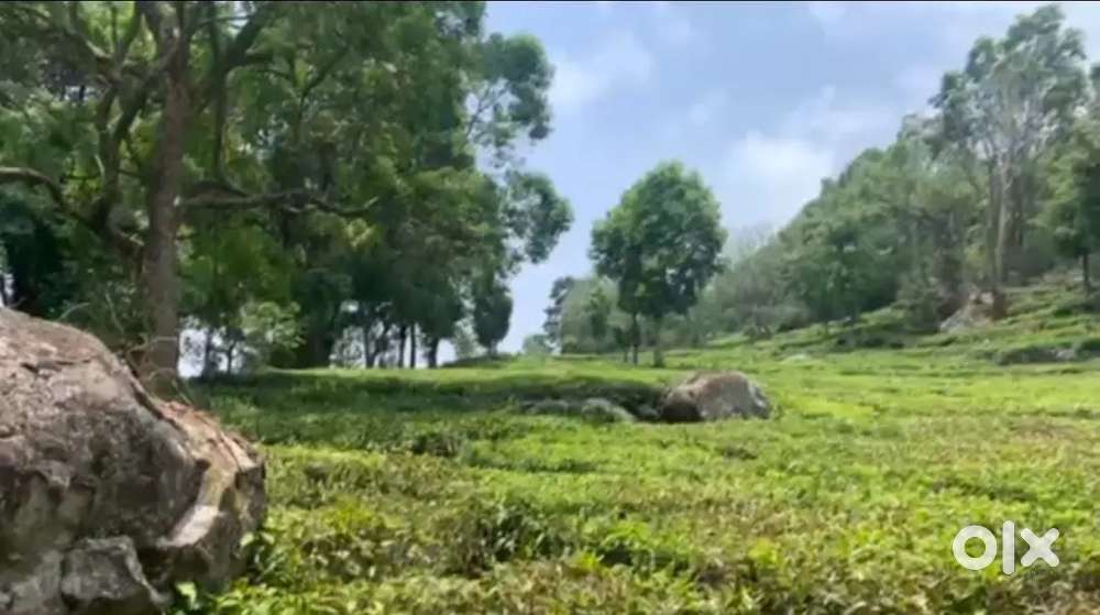 1 Acre estate for sale- Kotagiri