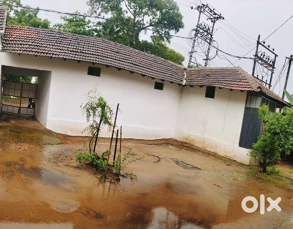 MAIN ROAD ALAPPUZHA +Free 2 shops