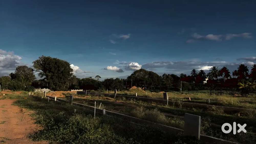 Premium 30x60 North-East Facing Plot for Sale in VR Royal Homes