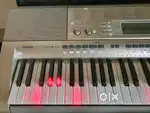 Casio LK270 lit up keyboard