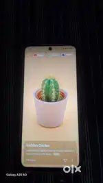 Vivo phone