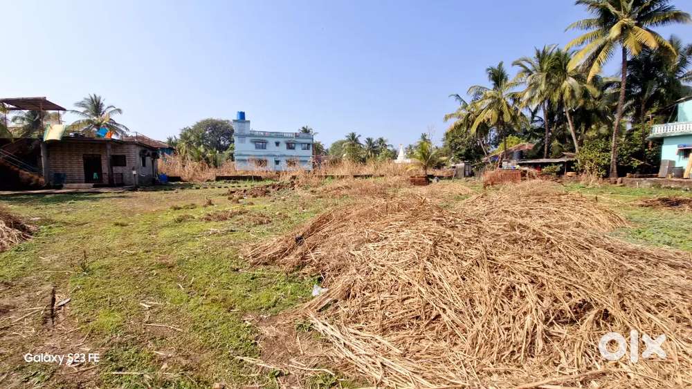 BEACH SIDE LAND FOR SELL NEAR HARNAI, DAPOLI