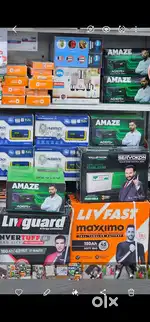 Inverter battery