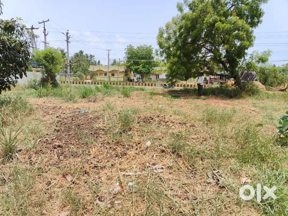 Residential plot @dulipalaviriya chowdhury