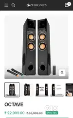 Zebronics octive tower speaker