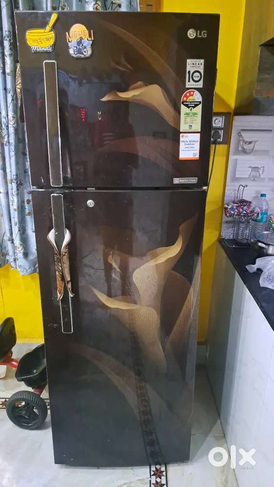 Lg double door