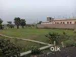3,50,000 Par Katha Jemua Fuljhor Main Rode