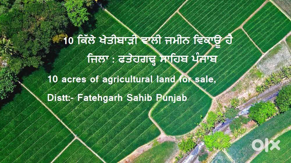 Agriculture Land of 10 Acers for sale
