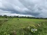 48 gunta agricultural land for sale in Maddur