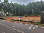 16 cent Main road side plot.