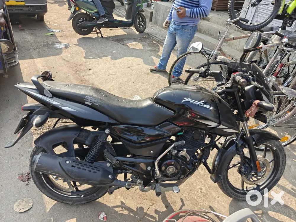 Pulser 125 2023 model mint condition