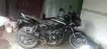 Palsure 125