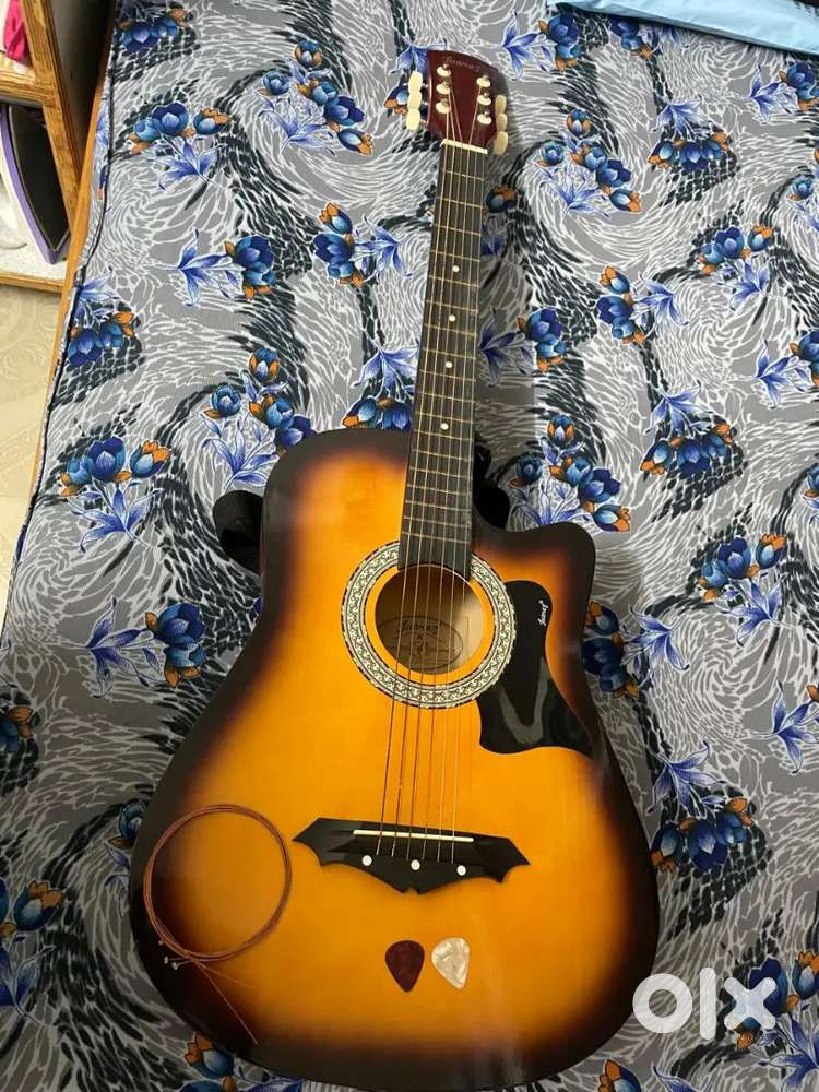 Musical instrument guitar