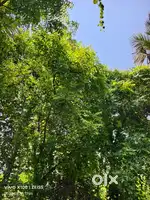 PLOT FOR SALE IN GREEN PARK NIDUR