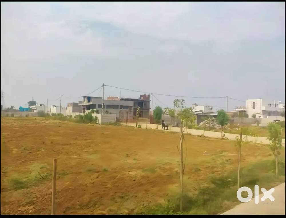 Emergency selling, only for urgent dealing with free registration