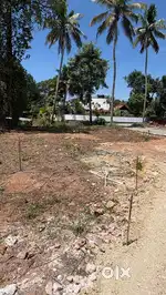 ത്രിപുണിത്തുറ ഹിൽപാലസിൽ House Plots