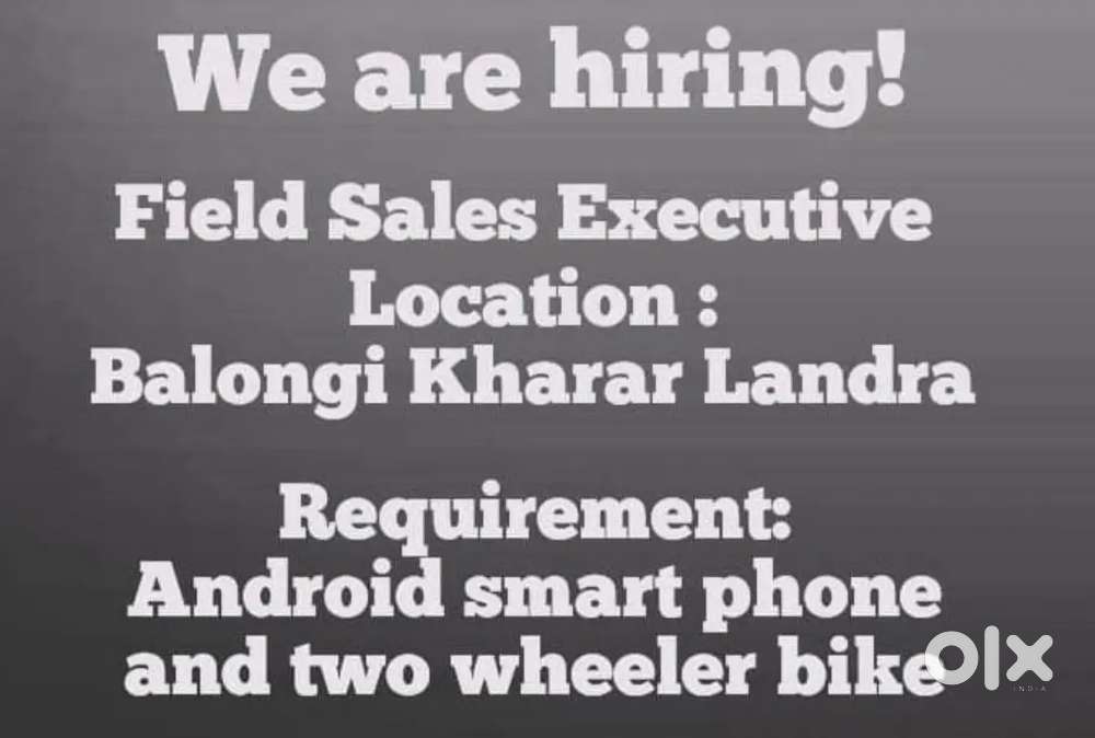 Paytm Sales Executive