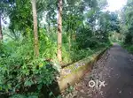 Plot for sale