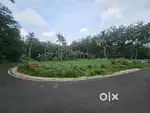 Amazing land for sale 25 cent