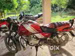 Bajaj Vikrant V12 for Sale!