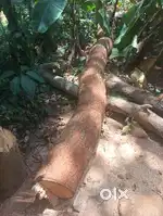 Wood for sale