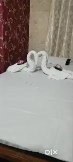 Massager Cum Therapist Only female