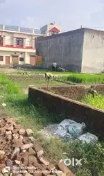 106 guzz karula mainather