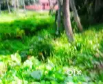 68 cent vayal for sale