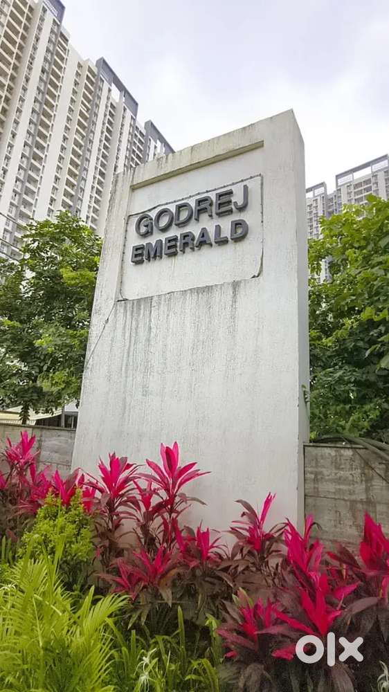 Single or double occupancy for 12k in furnished 2BHK in Godrej Emerald
