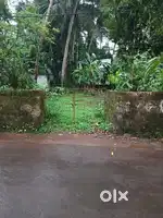 Land in moozhikkal for sale