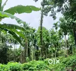 Valpoi land for sale