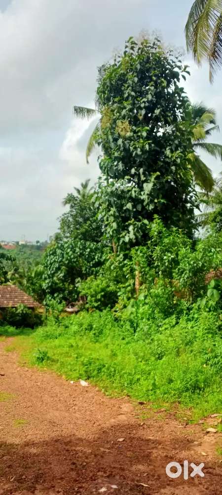 9.5 cents residential land at merry hill  very near air port road