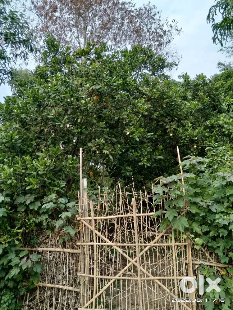 Ami jaiga kinte chai... Khoj thakle janan