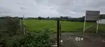 Junnar Narayangaon Road Touch Plot For Sale.