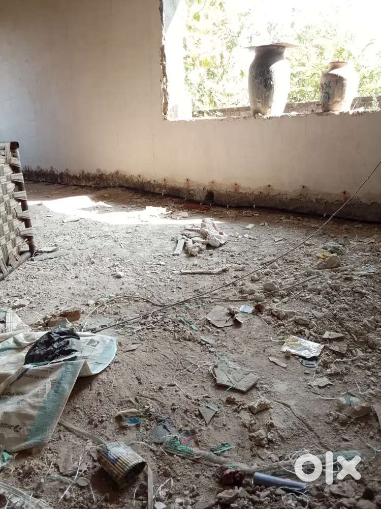 Pest control service