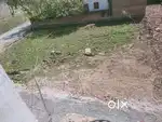 3 road plot