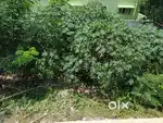 Good location and peacefull residencial area.Near by railway station