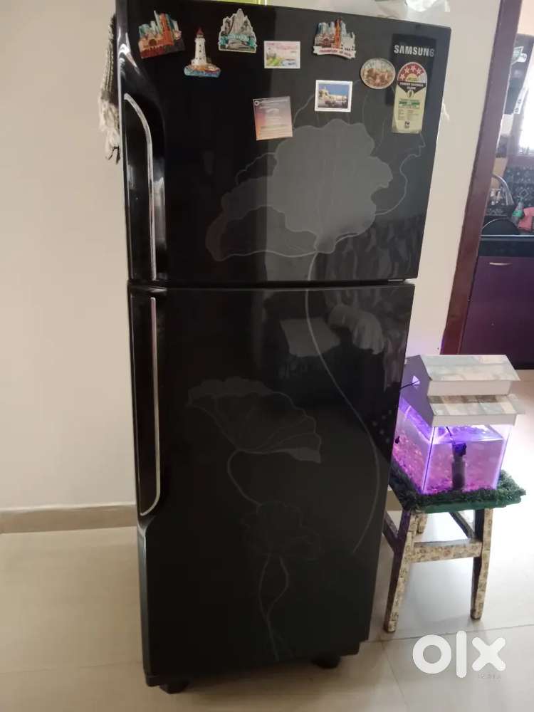 Samsung  Refrigerator